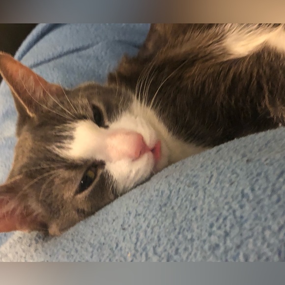 Meet Your Posher’s Posse- - Picture 7 of 12